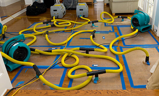 Professional Structural Drying And Dehumidification technician working in Stanley, ND
